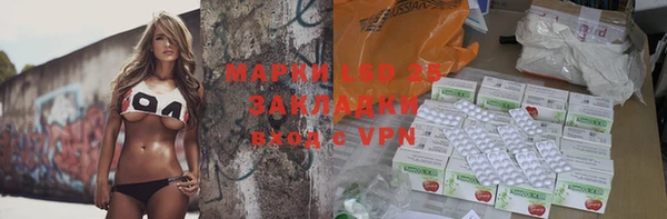 прущие грибы Мегион