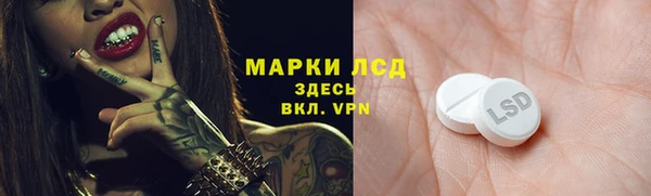 прущие грибы Мегион