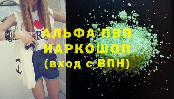 СК Медвежьегорск