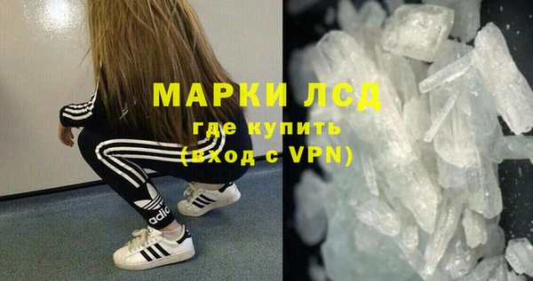 прущие грибы Мегион