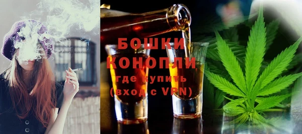 прущие грибы Мегион