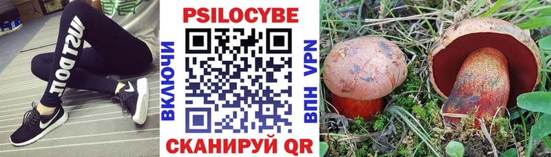 Галлюциногенные грибы Psilocybine cubensis  блэк спрут вход  Балтийск 