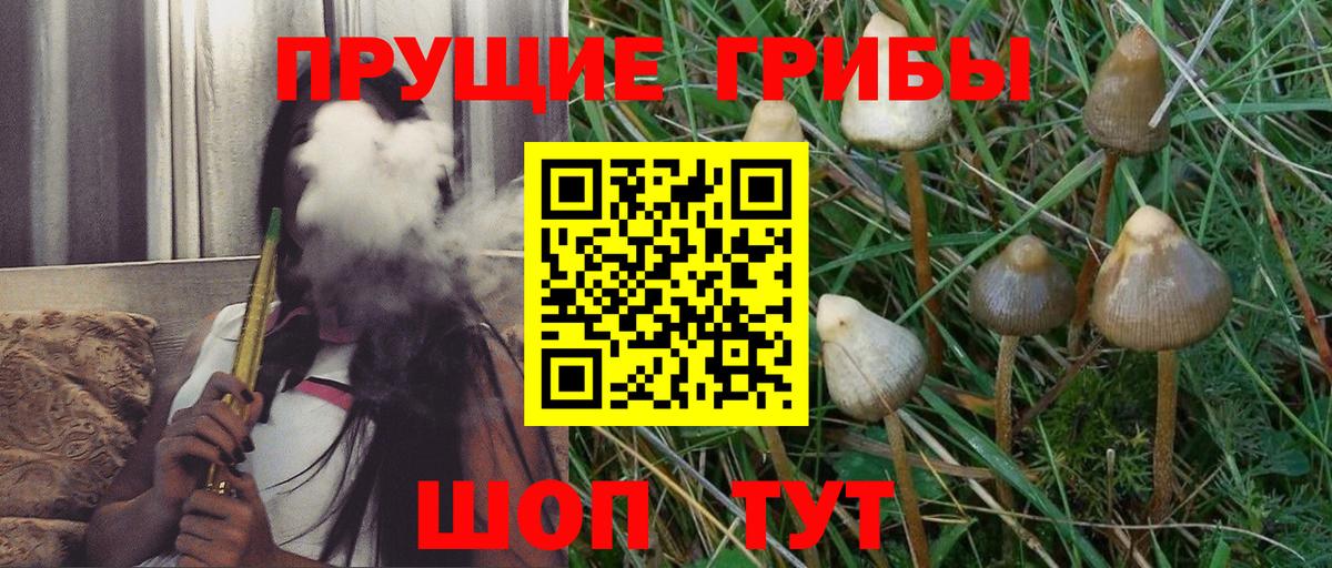 Галлюциногенные грибы мухоморы  Балтийск 