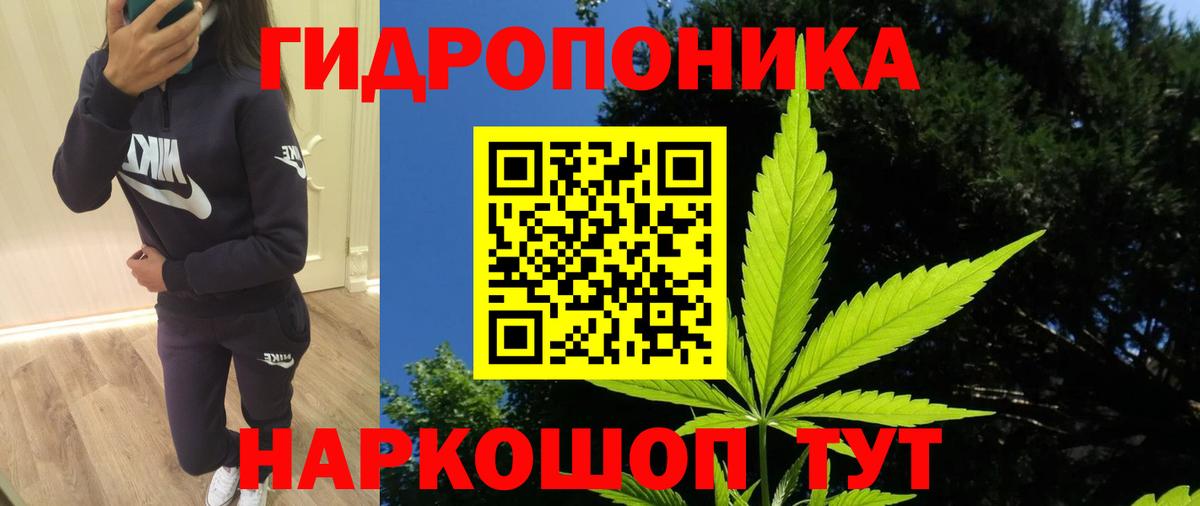 Шишки марихуана Bruce Banner  Бошки Шишки тримм  Бошки Шишки сатива  Балтийск  Шишки марихуана Ganja 